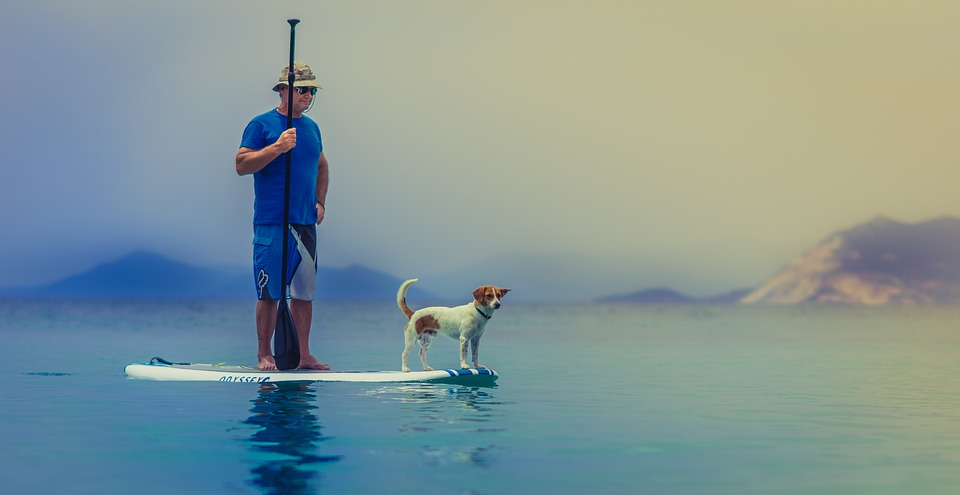 paddle surf con mi perro